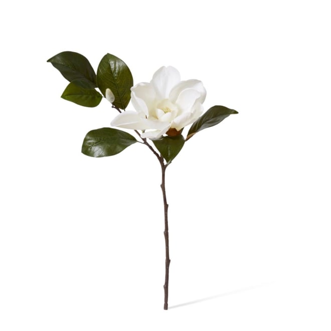 Magnolia Flower Spray - 31 x 23 x 81cm