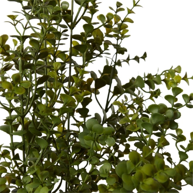 Hedge Bush - 59 x 53 x 78cm 