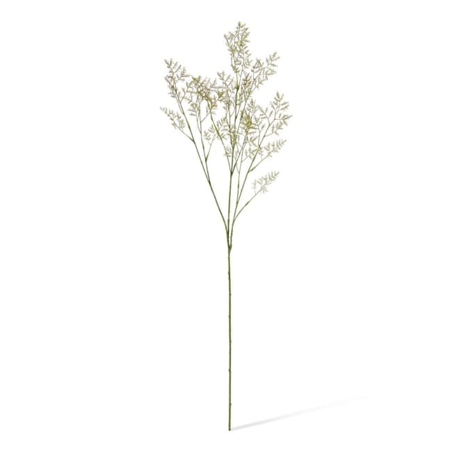 Limonium Spray - 16 x 5 x 100cm 