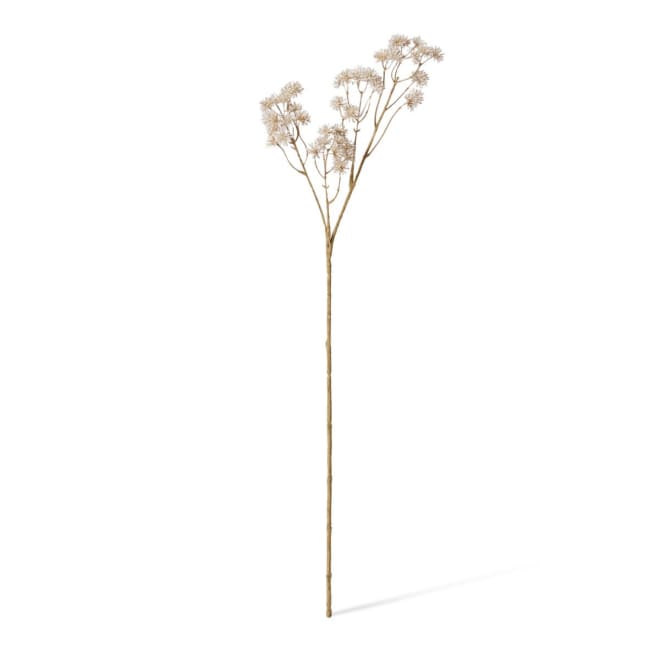 Aralia Deco Seed Spray - 13 x 11 x 84cm color White