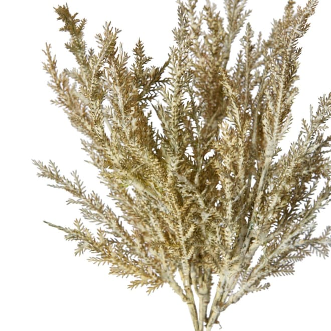 Astilbe Bush - 23 x 14 x 39cm 