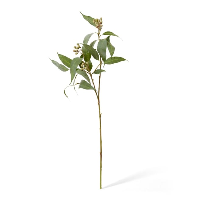 Eucalyptus Seeds Spray - 26 x 5 x 89cm 