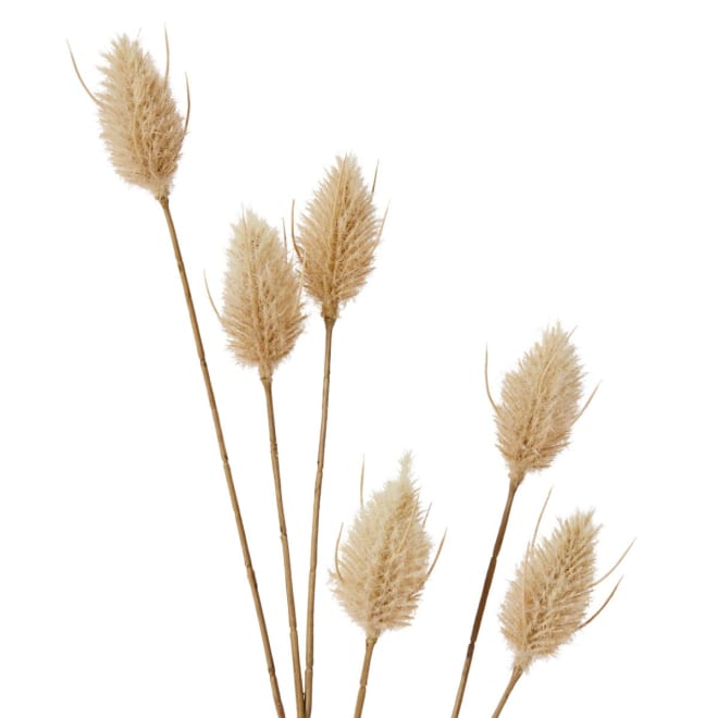 Bunny Tail Spray - 11 x 3 x 71cm 