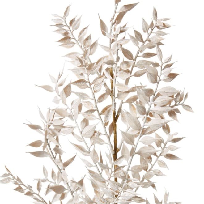 Ruscus Deco Spray White - 28 x 12 x 94cm color White
