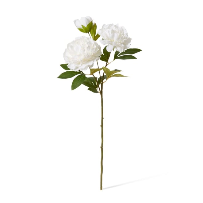 Peony Queen Spray - 30 x 20 x 76cm color White