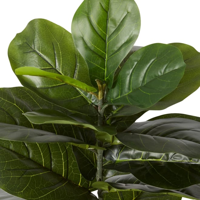 Fiddle Tree - 50 x 50 x 110cm 