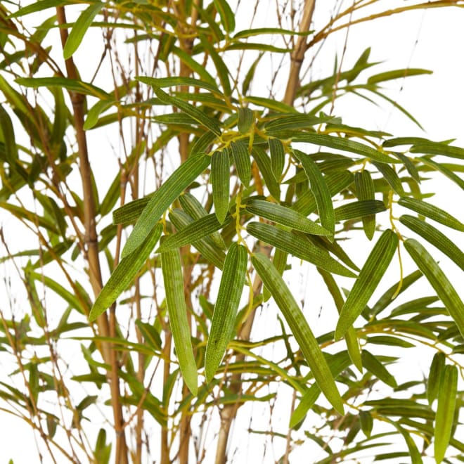 Bamboo Guadua Tree - 90 x 90 x 180cm 