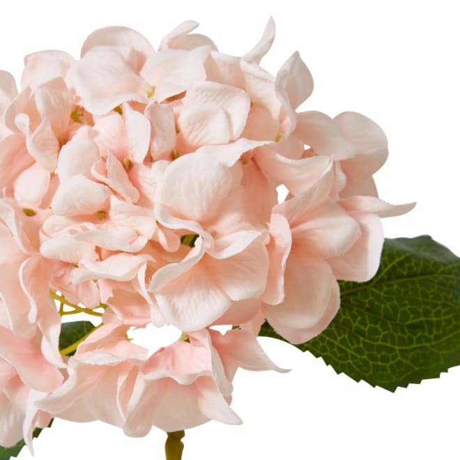 Hydrangea Classic Small Stem Pink - 23 x 21 x 61cm color Pink