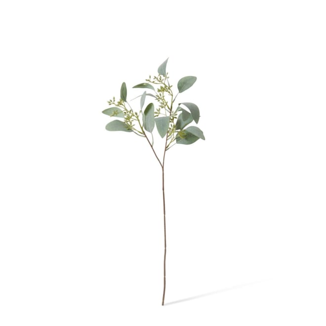 Eucalyptus Seeding Spray - 21 x 21 x 48cm color Grey/Green