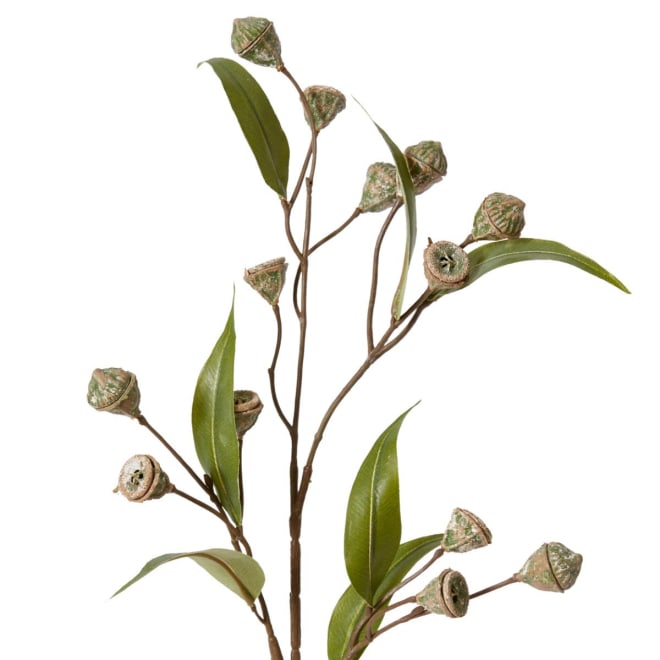 Eucalyptus Gum Nut Stem - 20 x 5 x 72cm 