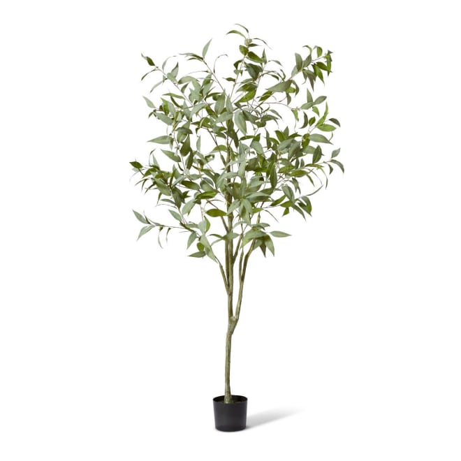 Gum Tree - 90 x 90 x 200cm