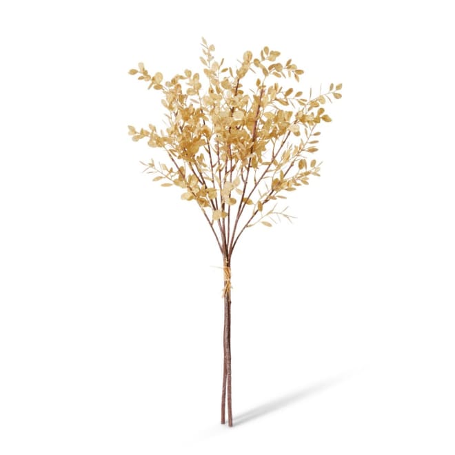 Eucalyptus Decor Bundle - 25 x 25 x 72cm color Antique Cream