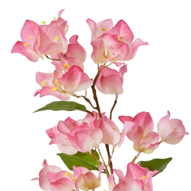 Bougainvillea Spray - 18 x 9 x 86cm color Soft Pink