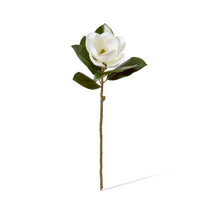Magnolia Grand Flower Stem - 28 x 28 x 66cm
