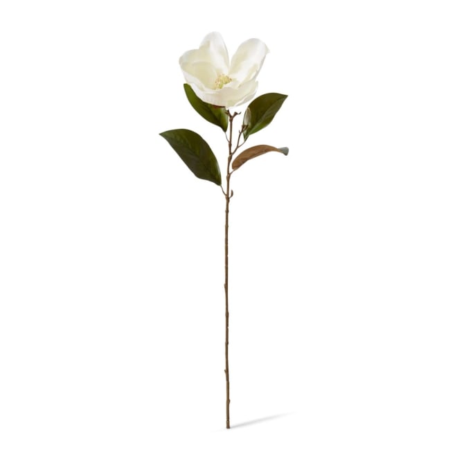 Magnolia Flower Stem - 20 x 14 x 74cm