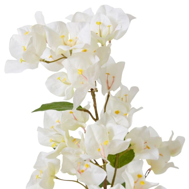 Bougainvillea Spray - 18 x 9 x 86cm color White