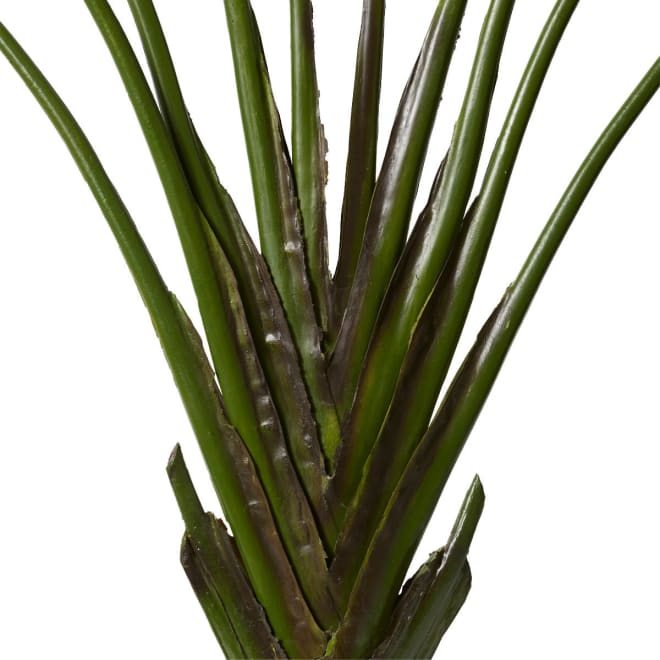 Palm Travellers Green - 110 x 40 x 220cm color Green