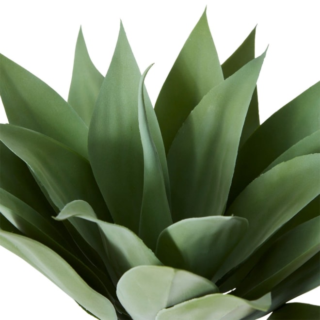 Agave - 45 x 45 x 41cm 