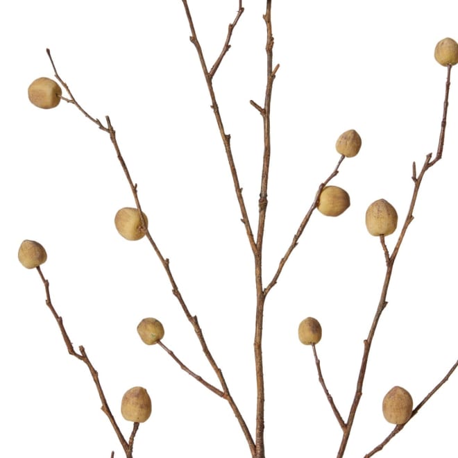 Berry Pod Dried Look Branch - 20 x 8 x 108cm color Natural