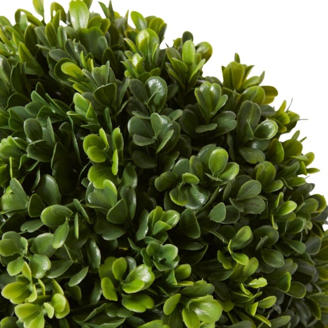 Topiary Boxwood Ball (Outdoor) - 24 x 24 x 24cm 