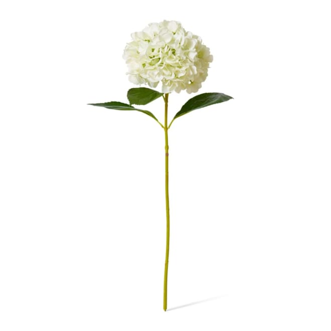 Hydrangea Grand Stem - 25 x 25 x 69cm 