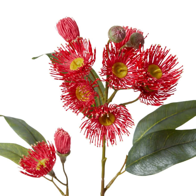 Eucalyptus Flowering Spray - 17 x 8 x 76cm color Red