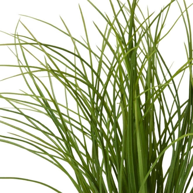Grass Tussock Plant - 55 x 55 x 65cm 