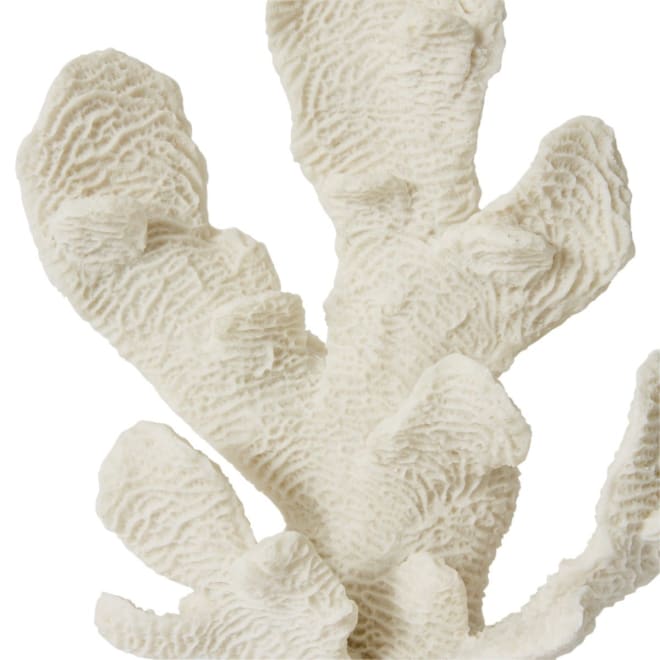 Coral Elkhorn Sculpture - 26 x 14 x 34cm 