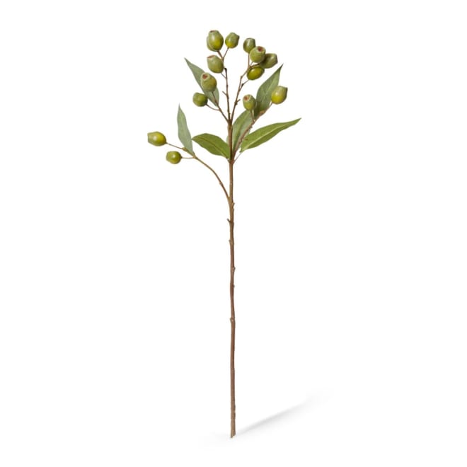 Eucalyptus Gum Nut Spray - 24 x 20 x 67cm 