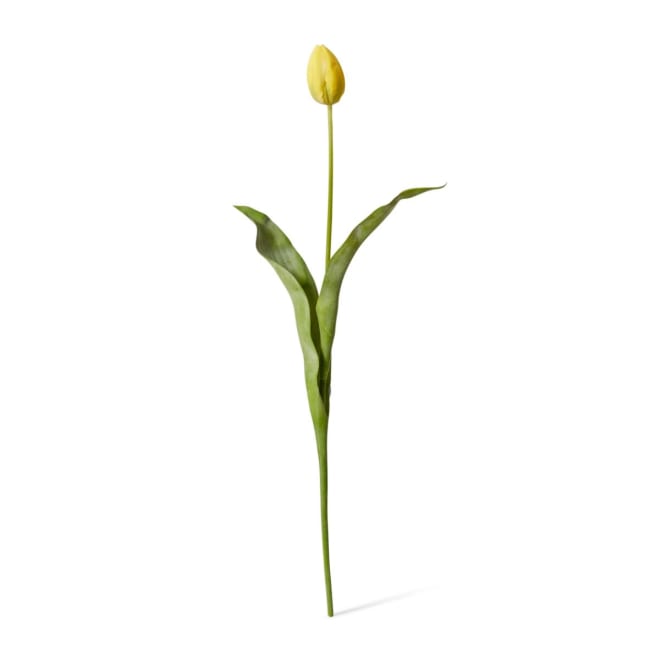 Tulip Stem Yellow - 9 x 3 x 74cm color Yellow