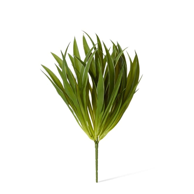 Grass Buffalo Plant - 30 x 30 x 35cm