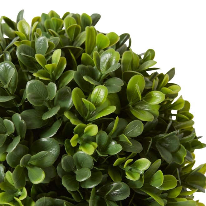 Topiary Boxwood Ball (Outdoor) - 18 x 18 x 18cm 