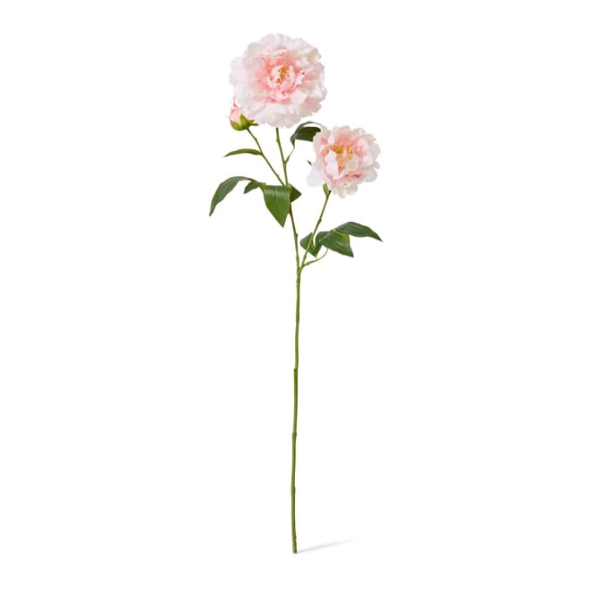 Peony Lillian Spray - 20 x 20 x 74cm color Soft Pink