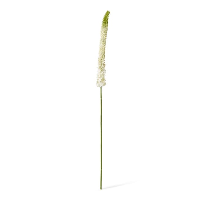 Foxtail Lily Stem Green/White - 6 x 3 x 112cm color Green/White