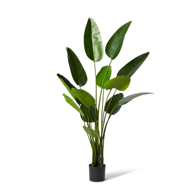 Bird of Paradise Grand - 120 x 120 x 183cm 