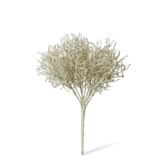 Santolina Bush - 23 x 23 x 27cm