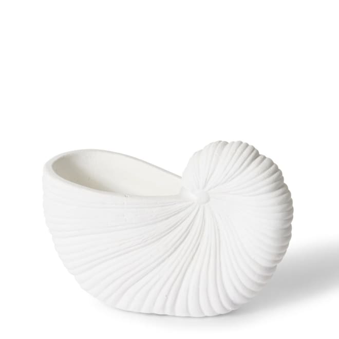 Conch Shell Pot - 21 x 10 x 15cm 
