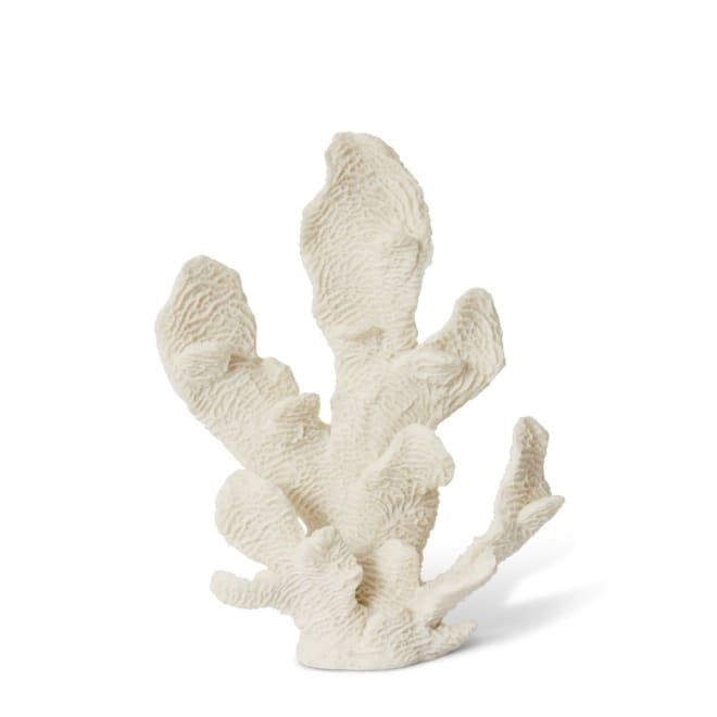 Coral Elkhorn Sculpture - 26 x 14 x 34cm