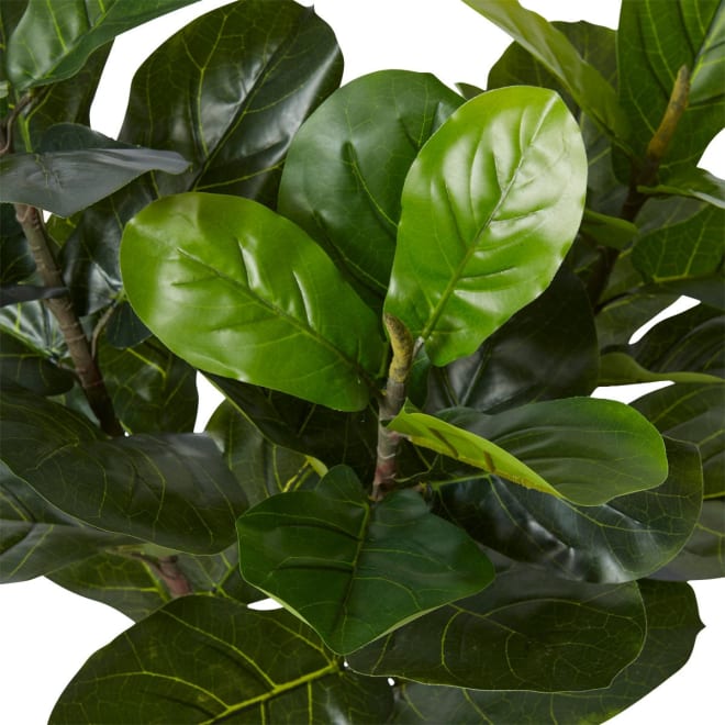 Fiddle Tree - 50 x 50 x 90cm 