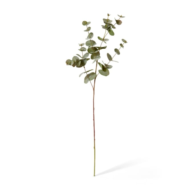 Eucalyptus Spray - 25 x 6 x 86cm color Grey/Green