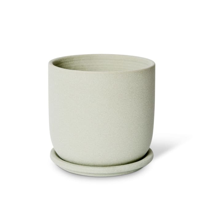 Allegra Pot w. Saucer - 15 x 15 x 15cm color Green