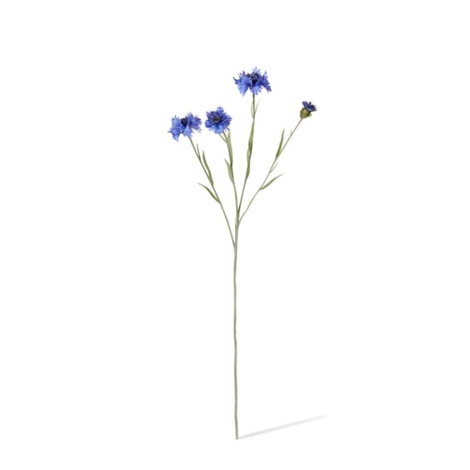 Corn Flower Spray - 8 x 3 x 61cm color Blue
