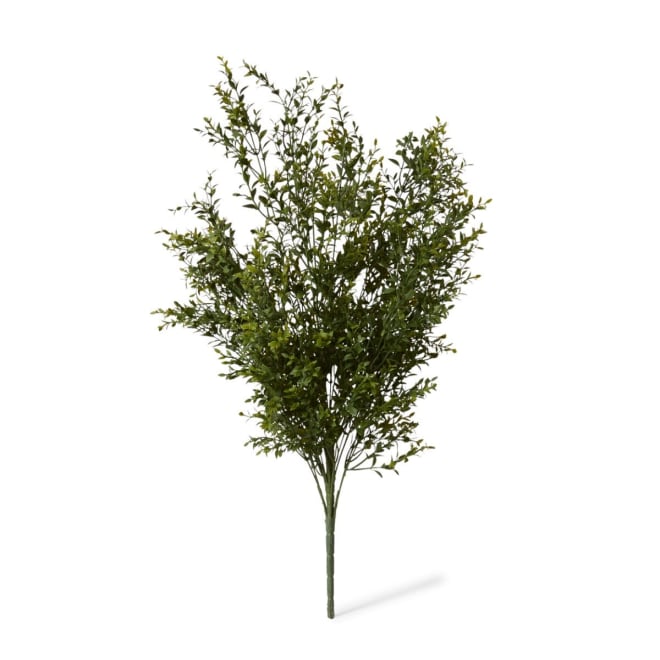 Boxwood Bush - 59 x 53 x 78cm