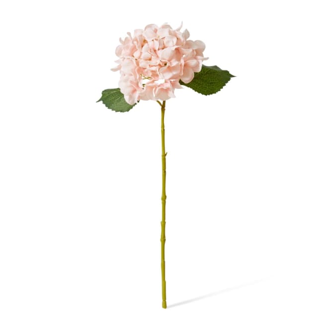 Hydrangea Classic Small Stem Pink - 23 x 21 x 61cm color Pink