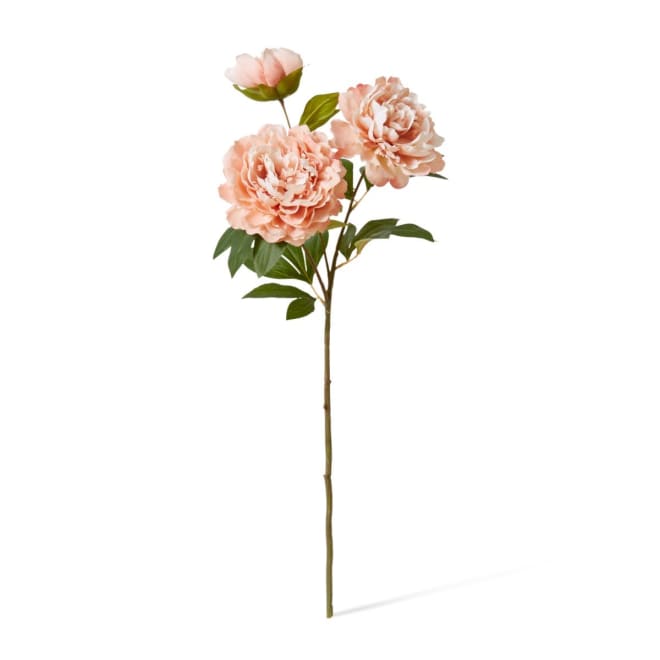 Peony Queen Spray - 30 x 20 x 76cm color Pink