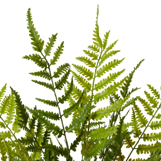 Fern Chain (Outdoor) - 36 x 36 x 46cm 