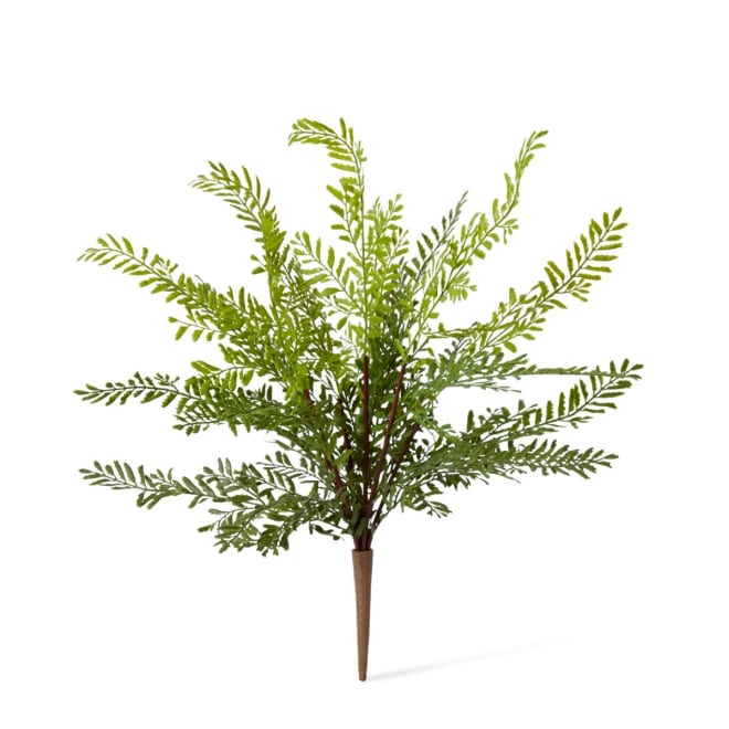 Fern Mother (Outdoor) - 36 x 36 x 43cm