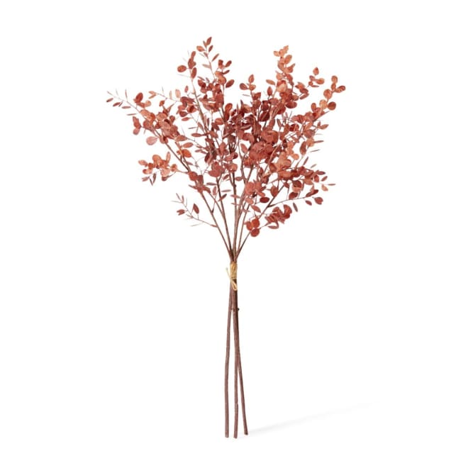 Eucalyptus Decor Bundle - 25 x 25 x 72cm color Dusty Red