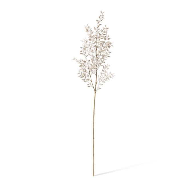 Ruscus Deco Spray White - 28 x 12 x 94cm color White
