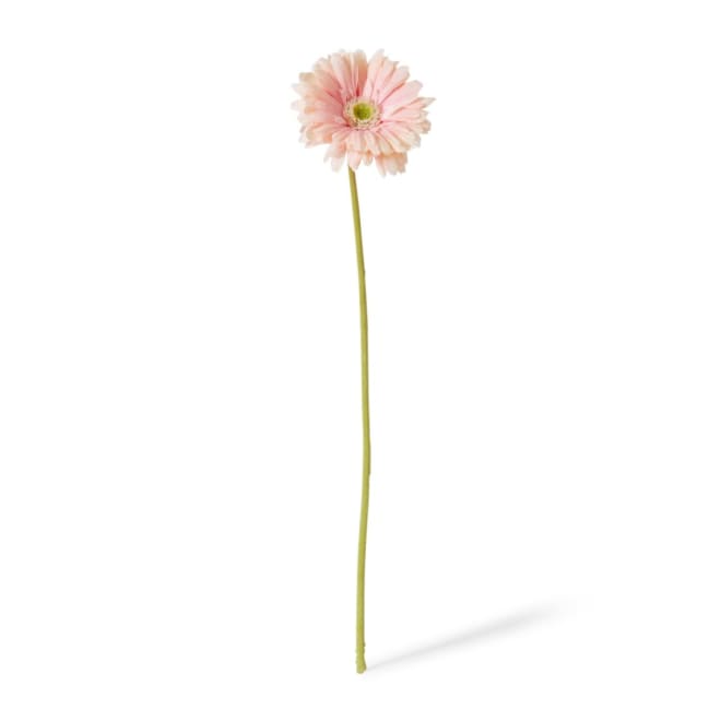 Gerbera Daisy Stem - 13 x 13 x 53cm